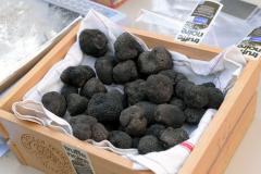 Association des Trufficulteurs de l'Aude