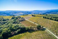 Chateau Rives Blanques-Cepie_1