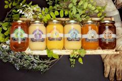 Ruchers de la Clauzeille