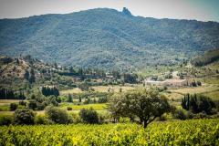 Domaine du Trillol-Cucugnan_10