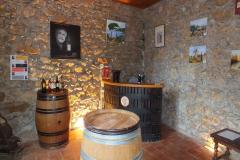 DomaineRoqueSestiere-9-LucsurOrbieu