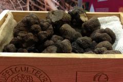 MONSIEUR BERNARDO PATRICE