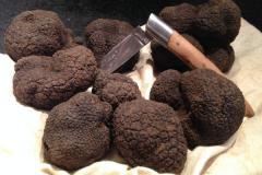 MONSIEUR CLERGUE PHILIPPE