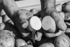 MONSIEUR DAIGNEAUX SEBASTIEN