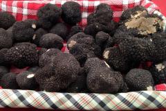 MONSIEUR PHILIPPE GAYZARD