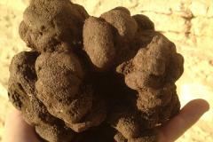 MONSIEUR RIGAUD JEROME