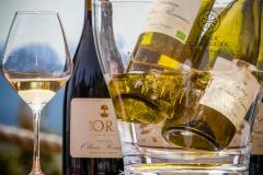 CHATEAU OLLIEUX ROMANIS 