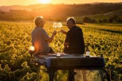 DOMAINE SAINT MARTIN