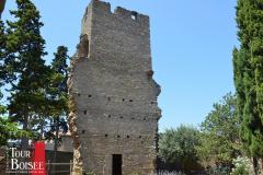 DOMAINE LA TOUR BOISEE