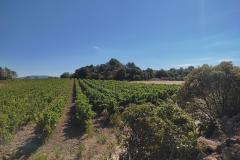 CELLIER DES TROUBADOURS 