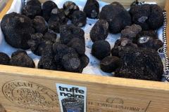 Truffe pays cathare