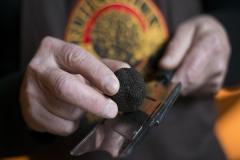 Truffes Pays Cathare