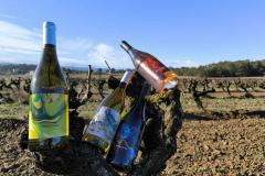 VILLEPEYROUX VINS BRR