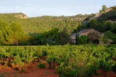 CHATEAU PRIEURE BORDE ROUGE