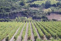 CHATEAU DE NOUVELLES