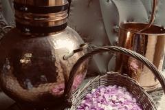 La distillerie d'Ana