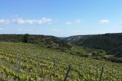 Domaine de Couchalou