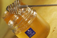 MIEL DU PAYS CATHARE