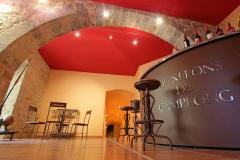 LES VIGNERONS DE CAMPLONG