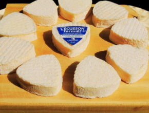 Ecusson Pays Cathare, fromage au lait de chèvre cru, Matthieu Bouette