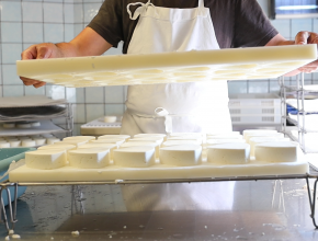 Fabrication du fromage Ecu Pays Cathare, Matthieu Bouette éleveur à Fajac-en-Val