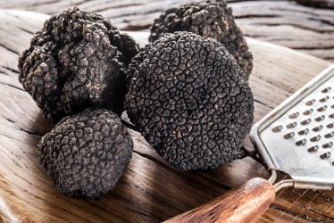 Truffes noires de la marque Pays Cathare