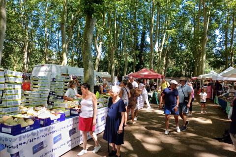 fete du melon pezens