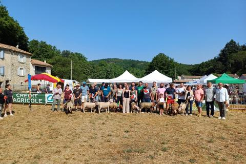 Vente des agneaux Pays Cathare