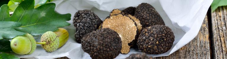 TRUFFE BLANCHE 
