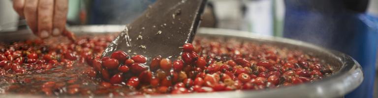 confiture pays cathare atout fruit