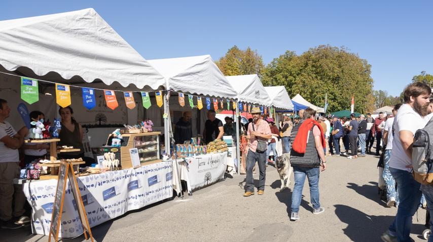 Foire de l'élevage à Espezel