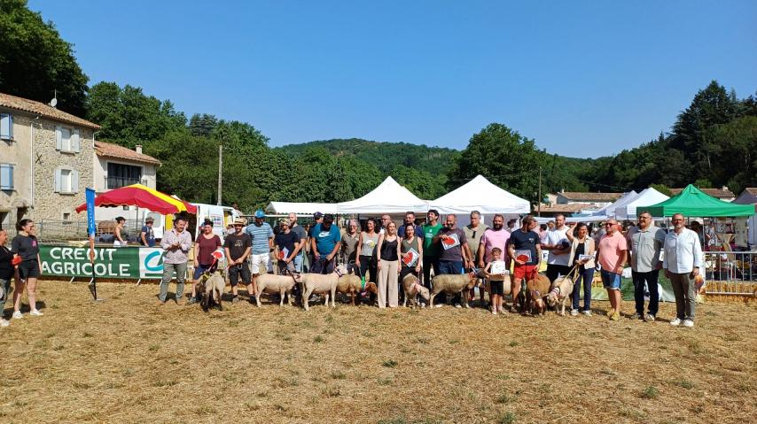 Vente des agneaux Pays Cathare