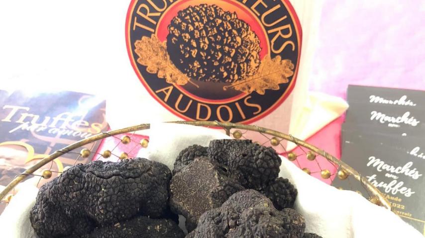 Ampélofolies du Cabardès