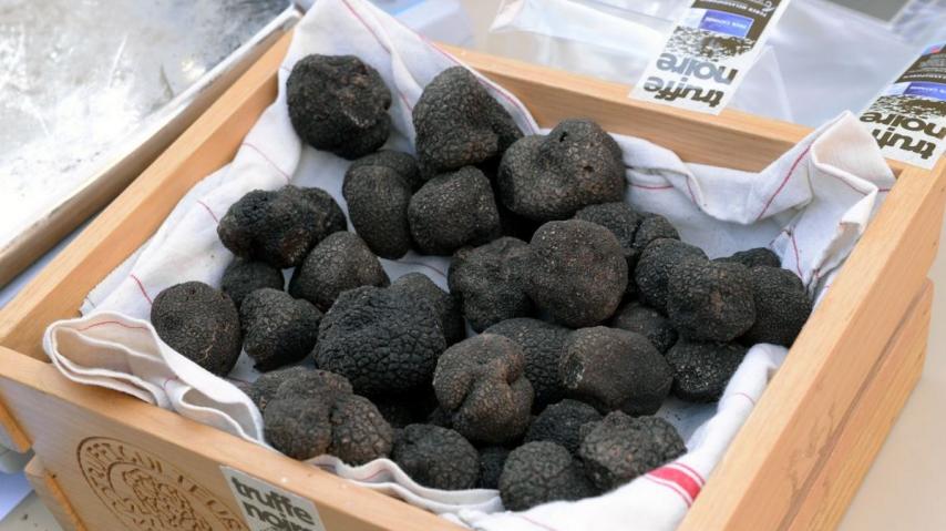 Association des Trufficulteurs de l'Aude