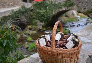 confiture pays cathare