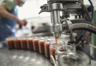 confiture pays cathare