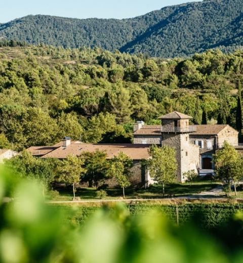 DOMAINE CALMEL ET JOSEPH