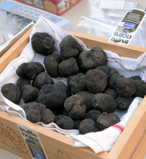 Association des Trufficulteurs de l'Aude