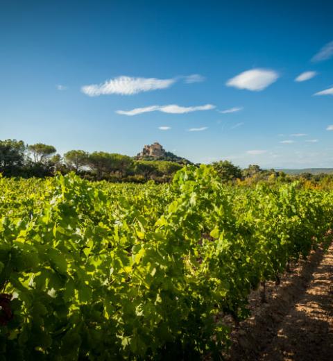 Beauregard Mirouze-Bizanet