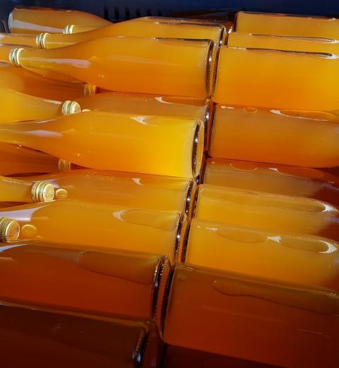 Jus de pomme Dne des Massols