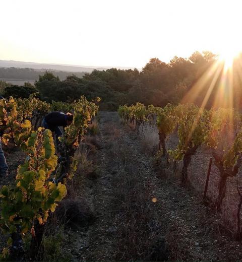 CHÂTEAU PRAT MAJOU GAY