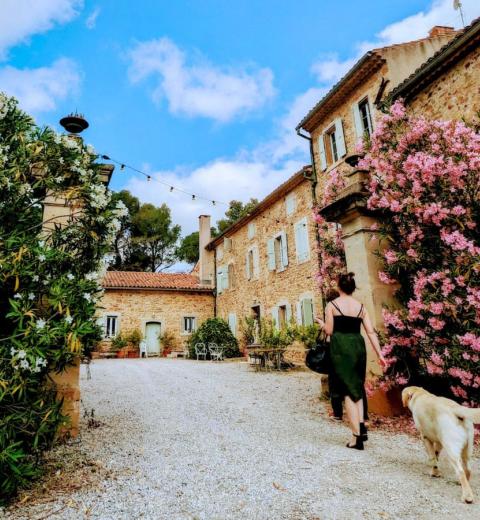 CHÂTEAU SAINT ESTÈVE