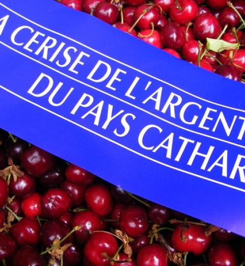 CERISE DU PAYS CATHARE