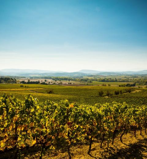 Chateau Guilhem-Malvies_11