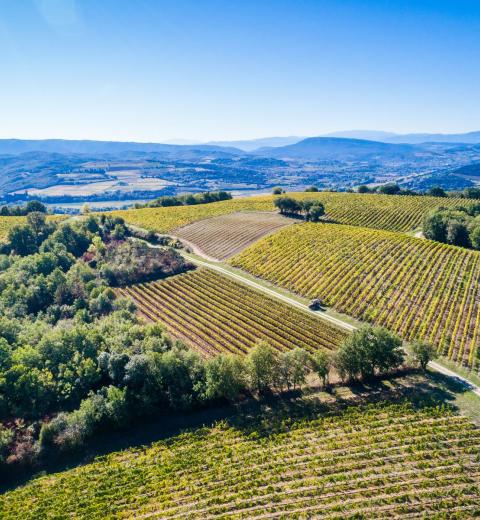 Chateau Rives Blanques-Cepie_1