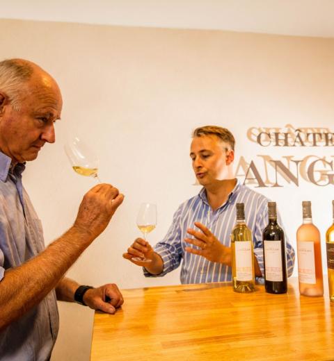 Chateau d'Angles-Saint Pierre La Mer_10