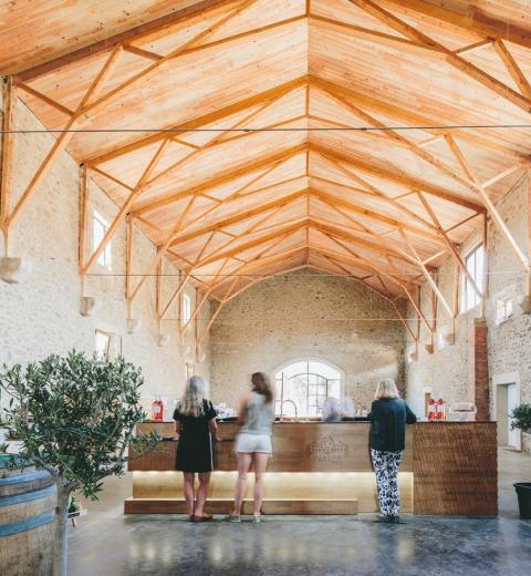 Caveau - Château de Paraza