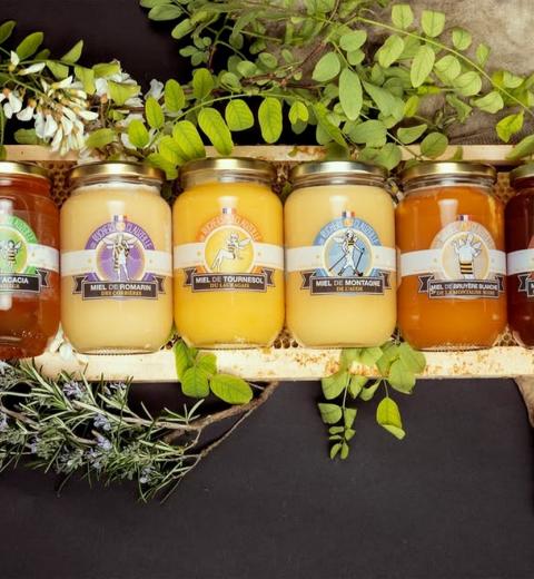 Ruchers de la Clauzeille