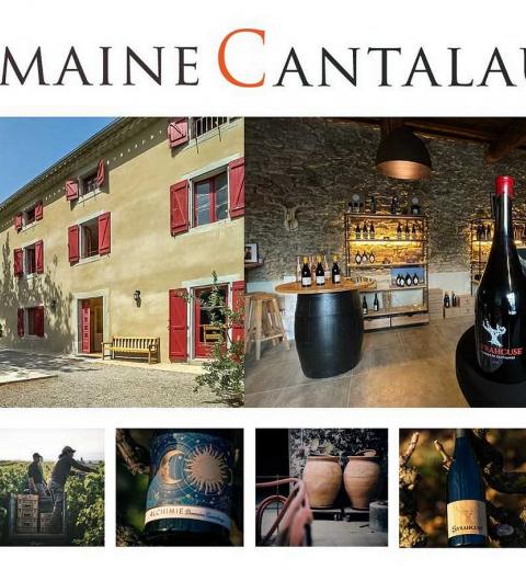 DOMAINE CANTALAUZE