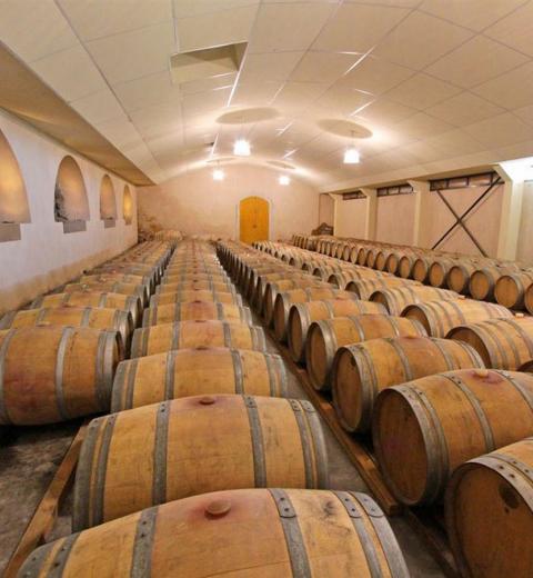 DOMAINE DE FONTSAINTE